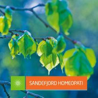 Pollenallergi, Sandefjord Homeopati : Sandefjord Helsepark