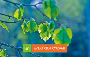Fremhevet bilde