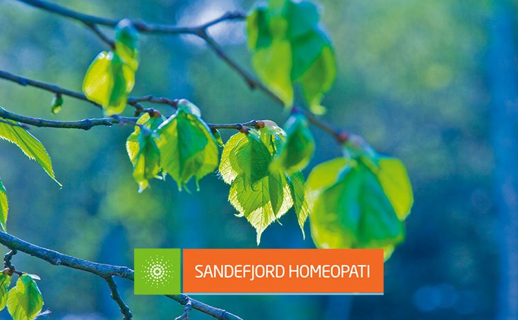 Framhevet bilde