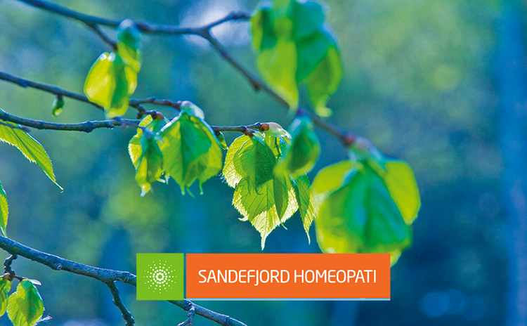 Pollenallergi, Sandefjord Homeopati : Sandefjord Helsepark
